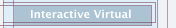Interactive Virtual 